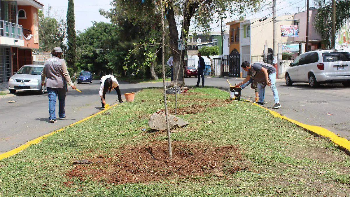 Recuperación áreas verdes Tonalá